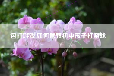 包打游戏,如何管教初中孩子打游戏