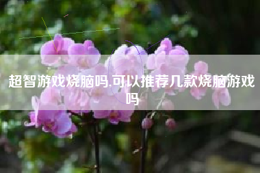 超智游戏烧脑吗,可以推荐几款烧脑游戏吗