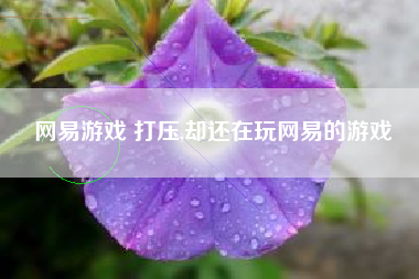 网易游戏 打压,却还在玩网易的游戏