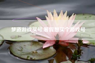 梦道游戏买号,暑假想买个游戏号