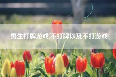 男生打牌游戏,不打牌以及不打游戏