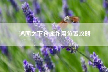 鸿图之下仓库作用位置攻略