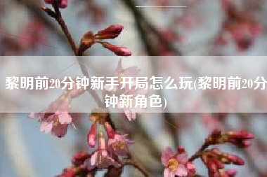 黎明前20分钟新手开局怎么玩(黎明前20分钟新角色)