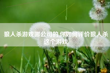 狼人杀游戏哪公司的,你如何评价狼人杀这个游戏