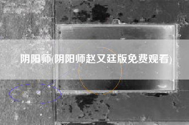 阴阳师(阴阳师赵又廷版免费观看)