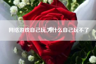 网络游戏自己玩,为什么自己玩不了