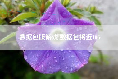 数据包版游戏,数据包将近10G