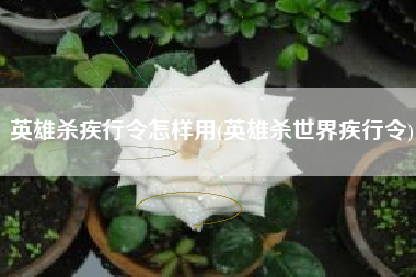 英雄杀疾行令怎样用(英雄杀世界疾行令)