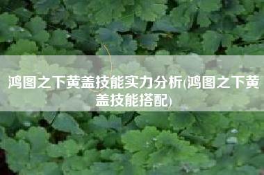 鸿图之下黄盖技能实力分析(鸿图之下黄盖技能搭配)