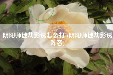 阴阳师迷劫影诱怎么打 (阴阳师迷劫影诱阵容)