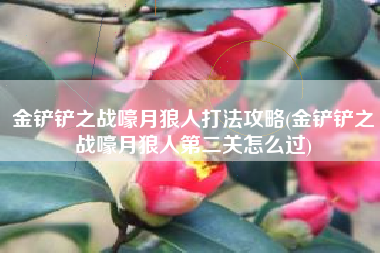 金铲铲之战嚎月狼人打法攻略(金铲铲之战嚎月狼人第二关怎么过)