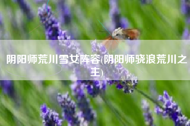 阴阳师荒川雪女阵容(阴阳师骁浪荒川之主)