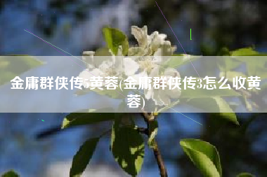 金庸群侠传5黄蓉(金庸群侠传3怎么收黄蓉)