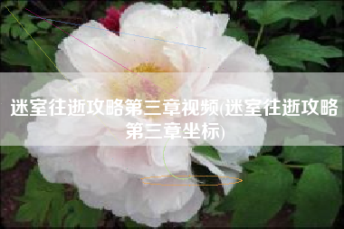 迷室往逝攻略第三章视频(迷室往逝攻略第三章坐标)