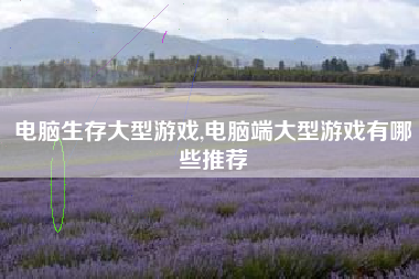 电脑生存大型游戏,电脑端大型游戏有哪些推荐