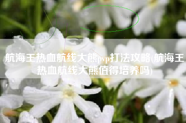 航海王热血航线大熊pvp打法攻略(航海王热血航线大熊值得培养吗)