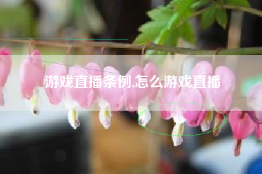 游戏直播条例,怎么游戏直播