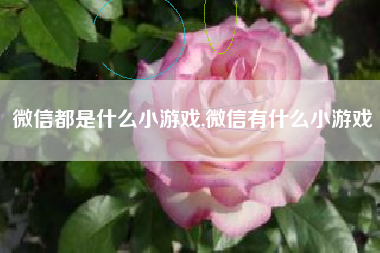 微信都是什么小游戏,微信有什么小游戏