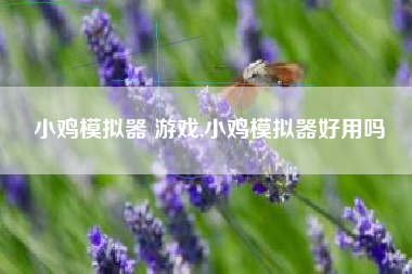 小鸡模拟器 游戏,小鸡模拟器好用吗