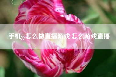 手机yy怎么做直播游戏,怎么游戏直播