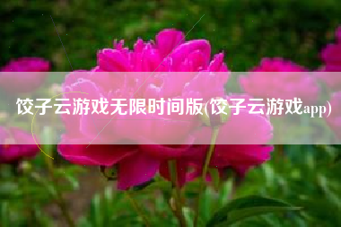 饺子云游戏无限时间版(饺子云游戏app)