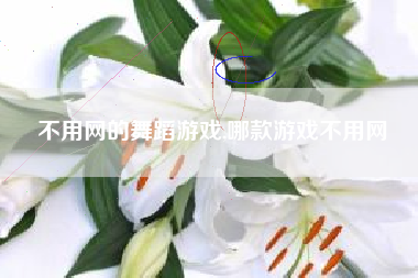 不用网的舞蹈游戏,哪款游戏不用网