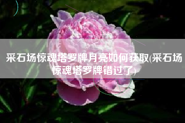 采石场惊魂塔罗牌月亮如何获取(采石场惊魂塔罗牌错过了)