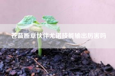 苍蓝断章伙伴尤诺技能输出厉害吗