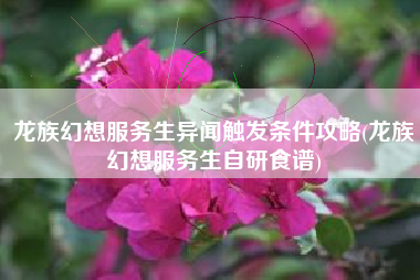 龙族幻想服务生异闻触发条件攻略(龙族幻想服务生自研食谱)