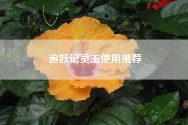 追妖记灵玉使用推荐