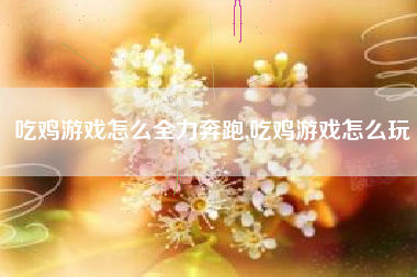 吃鸡游戏怎么全力奔跑,吃鸡游戏怎么玩