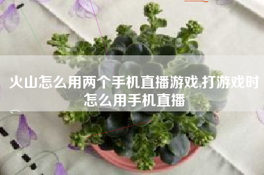 火山怎么用两个手机直播游戏,打游戏时怎么用手机直播