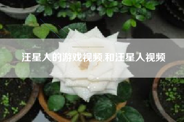 汪星人的游戏视频,和汪星人视频