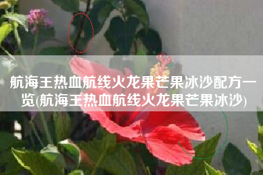 航海王热血航线火龙果芒果冰沙配方一览(航海王热血航线火龙果芒果冰沙)