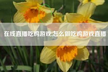 在线直播吃鸡游戏,怎么做吃鸡游戏直播