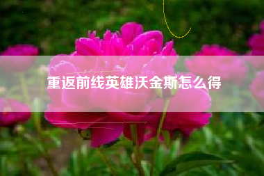 重返前线英雄沃金斯怎么得