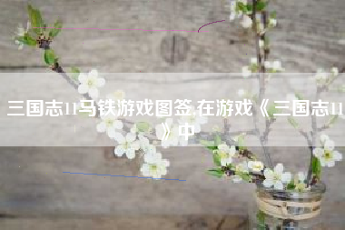 三国志11马铁游戏图签,在游戏《三国志11》中