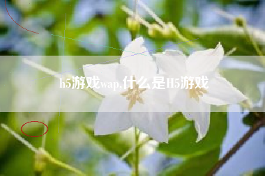 h5游戏wap,什么是H5游戏