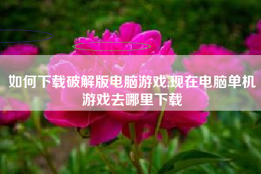如何下载破解版电脑游戏,现在电脑单机游戏去哪里下载