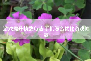游戏提升帧数方法,手机怎么优化游戏帧数