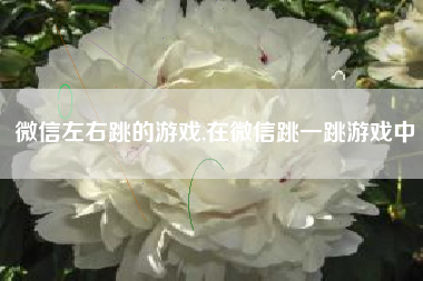 微信左右跳的游戏,在微信跳一跳游戏中