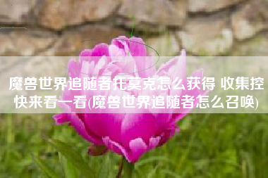 魔兽世界追随者托莫克怎么获得 收集控快来看一看(魔兽世界追随者怎么召唤)