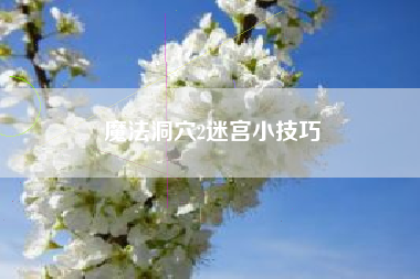 魔法洞穴2迷宫小技巧