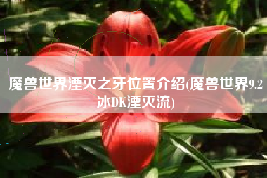 魔兽世界湮灭之牙位置介绍(魔兽世界9.2冰DK湮灭流)