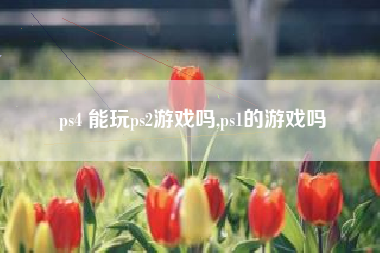 ps4 能玩ps2游戏吗,ps1的游戏吗