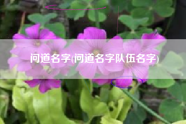 问道名字(问道名字队伍名字)