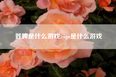 贱婢是什么游戏,csgo是什么游戏