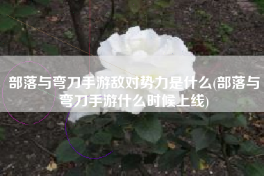 部落与弯刀手游敌对势力是什么(部落与弯刀手游什么时候上线)