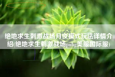 绝地求生刺激战场月夜模式玩法详情介绍(绝地求生刺激战场pubg美服国际服)