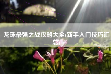 龙珠最强之战攻略大全(新手入门技巧汇总)
